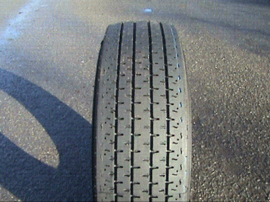 14\" MAXSPORT  INTERMEDIATES